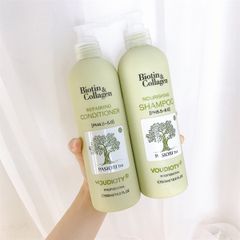 [New] Bộ Gội - Xã Dưỡng Sinh Stillonps Kenry (08/2026)