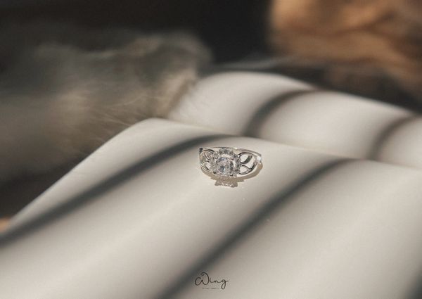  Nhẫn Ổ Đá Tròn Viền Đá Nhọn Họa Tiết Tim Xoắn Hai Bên (Chiếc) 