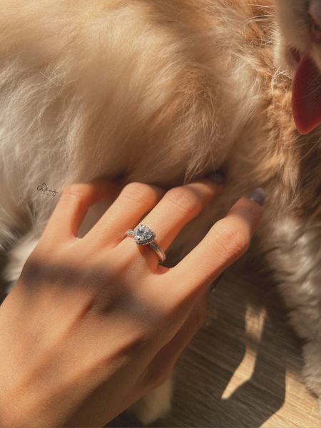  Nhẫn Sweetie Heart (Chiếc) 