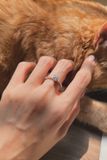  Nhẫn Bạc Ổ Đá Cao 6 Trấu Thân Mảnh Tiểu Thư (Chiếc) 