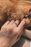  Nhẫn Bạc Ổ Đá Cao 6 Trấu Thân Mảnh Tiểu Thư (Chiếc) 