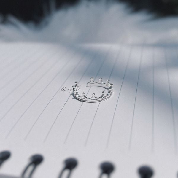  Nhẫn Vương Miện King Trơn Free Size (Chiếc) 