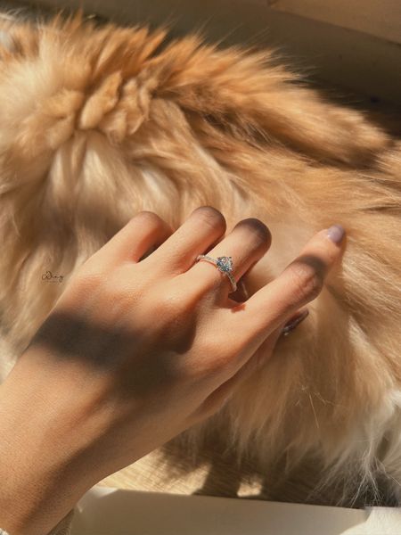  Nhẫn Elivia (Chiếc) 