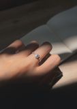  Nhẫn Hoa Tuyết Đá Dẹt (Chiếc) 