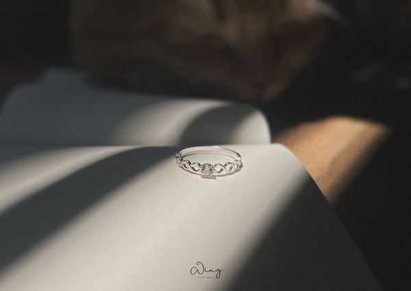  Nhẫn Ổ Đá 6 Trấu Thân Vặn Thừng Trơn (Chiếc) 