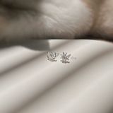  Khuyên Tai Trăng Sao Cánh Nhọn (Đôi) 