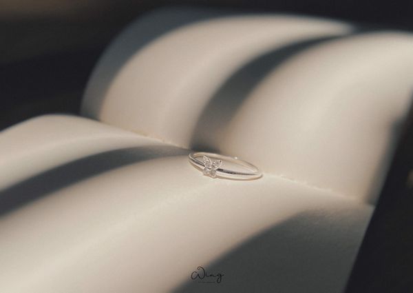  Nhẫn Mặt Đá Bướm Mini Thân Trơn (Chiếc) 