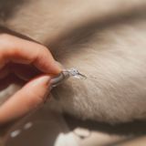  Nhẫn Mặt Đá Tim Thân Xoắn Trơn (Chiếc) 