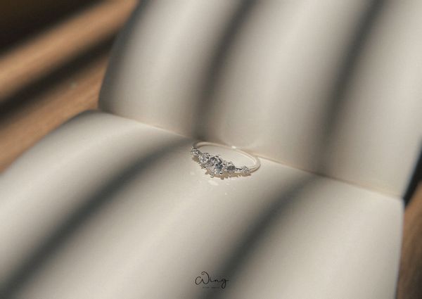  Nhẫn Irin (Chiếc) 