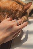  Nhẫn Bạc Gắn Đá Vát Chéo Chữ X Chạy Ziczac (Chiếc) 