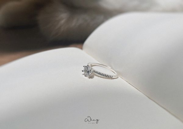  Nhẫn Ổ Đá 6 Trấu Cao Thân 1 Hàng Đá (Chiếc) 