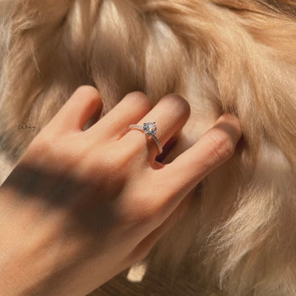  Nhẫn Elivia (Chiếc) 