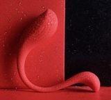  Combo bộ BDSM kèm trứng rung cao cấp Svakom Limited Gift Box 