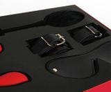  Combo bộ BDSM kèm trứng rung cao cấp Svakom Limited Gift Box 