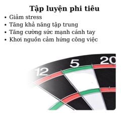 Bảng phóng phi tiêu 02 mặt giấy cứng 17in, dày 1cm, giải trí  vui nhộn