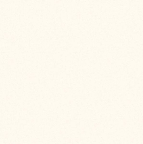  Gạch Đồng Tâm 100DB038 