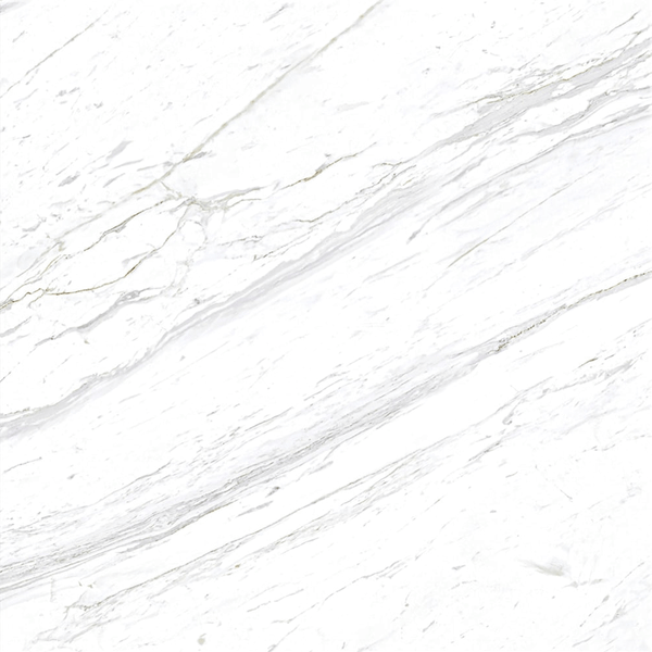  Gạch Eurotile SIG-P8801 