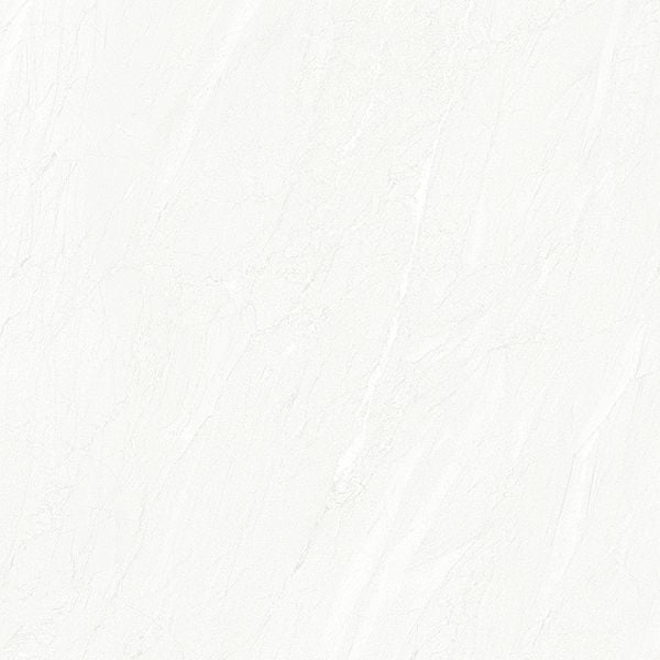  Gạch lát nền Đồng Tâm 2525TAMDAO001 