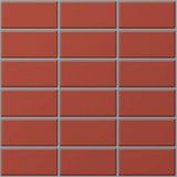  Gạch ốp tường Inax 255/DPL-101V DPL POINT COLOR 