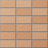  Gạch ốp tường Inax 255/VIZ-10 255-VIZ 