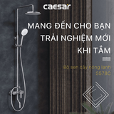  Sen cây nóng lạnh Caesar S578C 