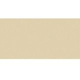  Gạch ốp lát Đồng Tâm 3060VICTORIA 