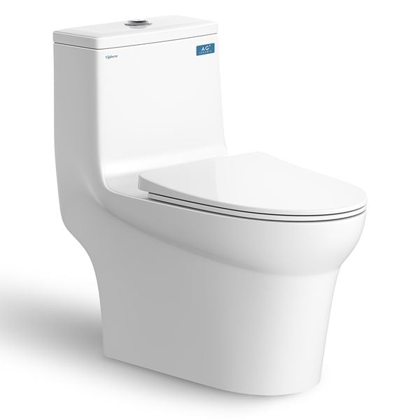 Bàn cầu 1 khối Viglacera V65 - Bùi Minh