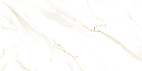  Gạch Đồng Tâm 60120NILE001-H+ 