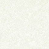  Gạch ốp lát Đồng Tâm 6060TRUONGSON 