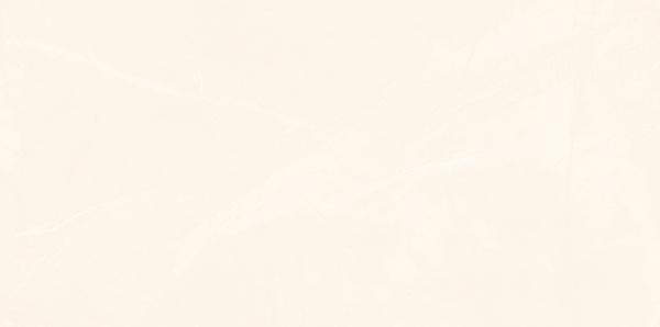  Gạch Viglacera CL-GP4805 