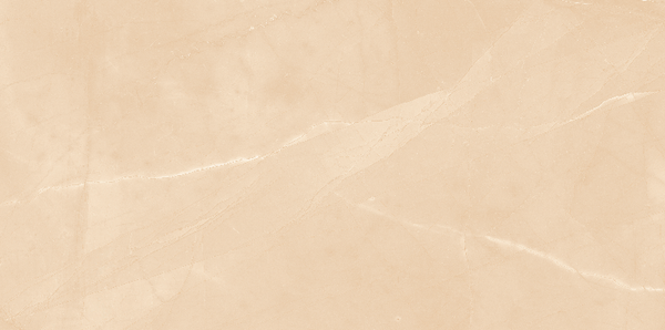  Gạch Viglacera CL-GP4806 