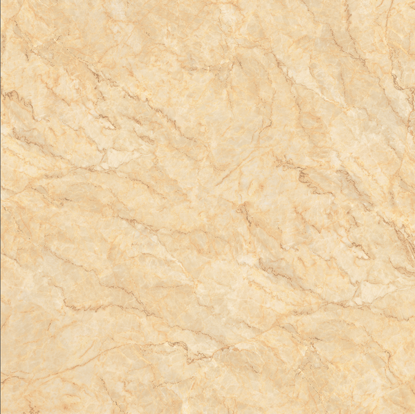  Gạch Viglacera CL-GP805 