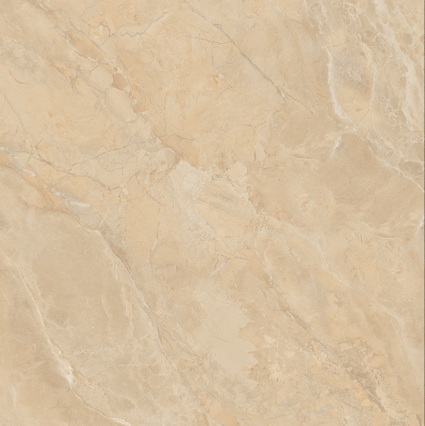  Gạch Viglacera SH-GP807 