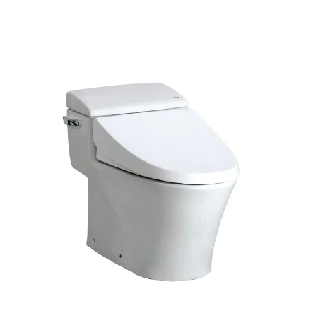 Bàn cầu 1 khối Inax AC-1017VRN Bùi Minh