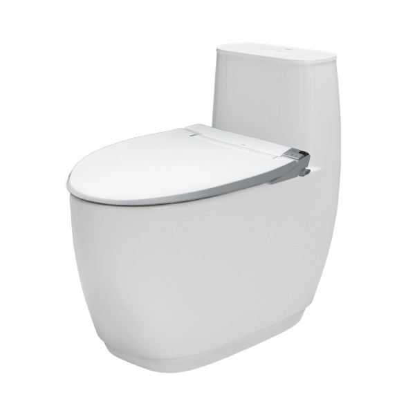  Bàn cầu 1 khối Inax AC-1052VN 