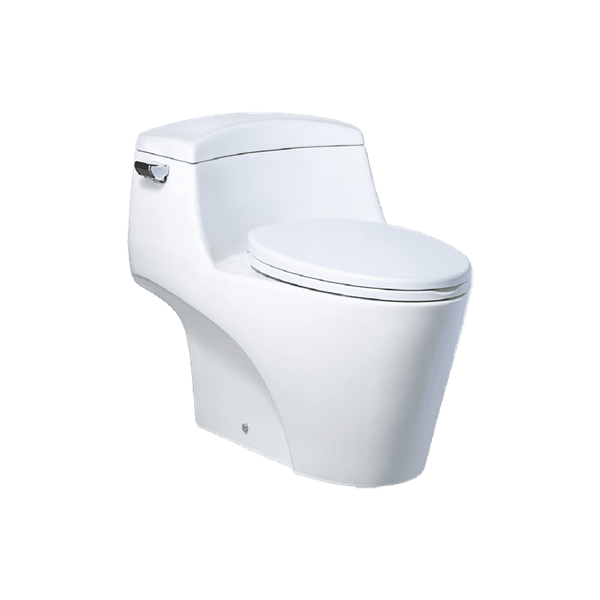 Bàn cầu 1 khối Caesar C1353 Bùi Minh