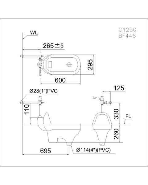 Bàn cầu xổm Caesar C1250 Bùi Minh