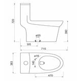  Bàn cầu 1 khối Sanfi S307 