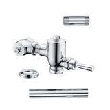  Bộ xả gạt tay bàn cầu xổm Caesar BF521A 
