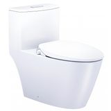  Bàn cầu 1 khối Caesar C1363 (Không nắp) + Nắp rửa TAF060 