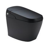  Bồn cầu thông minh INAX AC-G216VN/BKG 