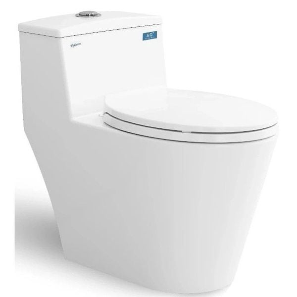 Bồn cầu một khối Viglacera V823 -  Bùi Minh