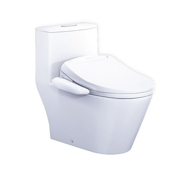 Bàn cầu 1 khối Caesar C1363 (Không nắp) + Nắp rửa TAF400H Bùi Minh