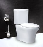  Bàn cầu 2 khối Caesar CD1341 