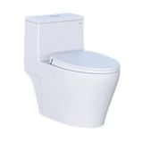  Bàn cầu 1 khối Caesar C1356 