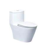  Bàn cầu 1 khối Caesar C1363 