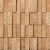  Gạch ốp tường Inax ECP-275NET/RGS3 ECOCARAT PLUS ROUGHSAWN 