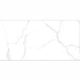  Gạch Taicera GP12905 