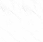  Gạch Taicera GP66501 