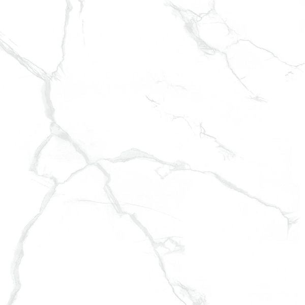  Gạch Taicera GP88085 